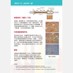 web-version6